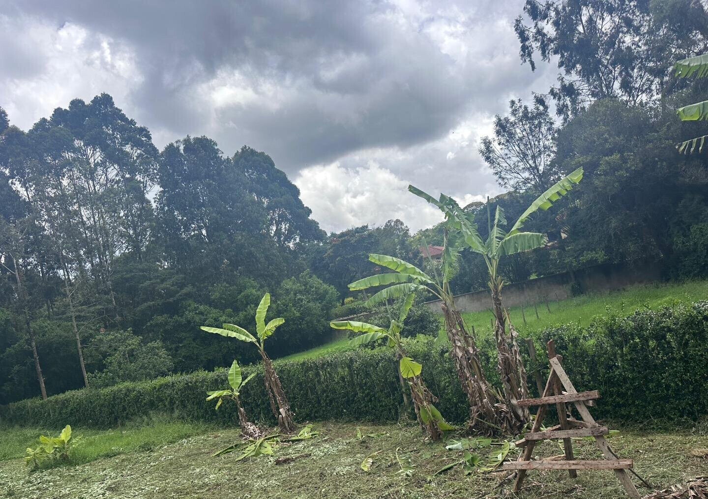 Half Acre Garden Plot at KSh 60M