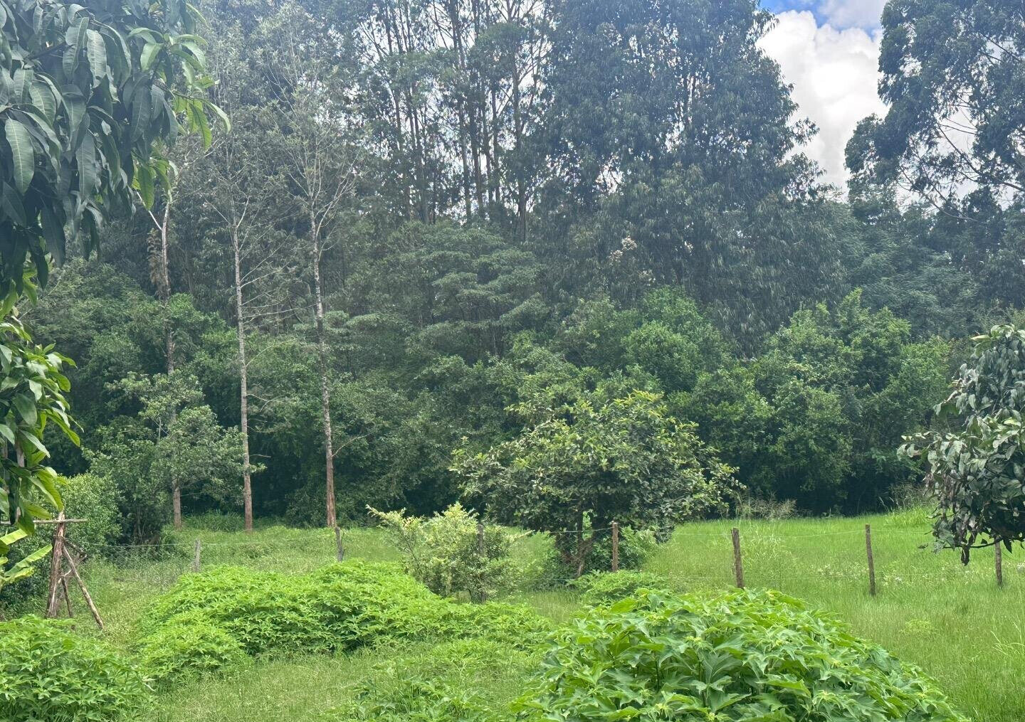 Half Acre Garden Plot at KSh 60M
