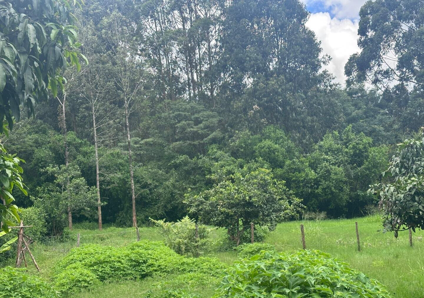 Half Acre Garden Plot at KSh 60M