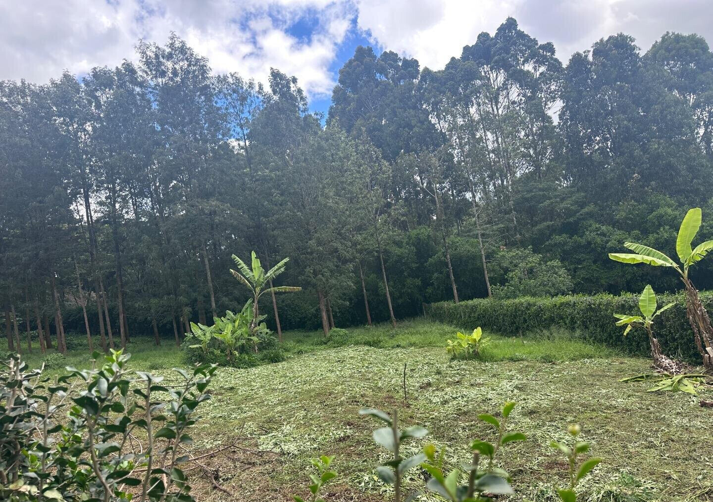 Half Acre Garden Plot at KSh 60M