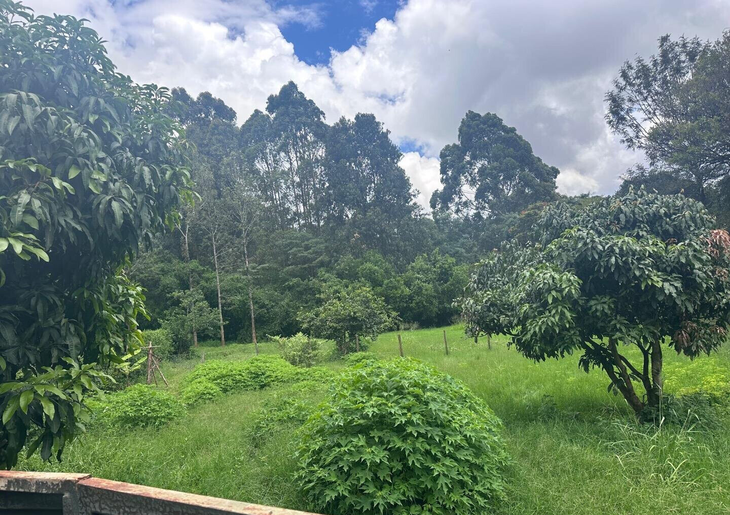 Half Acre Garden Plot at KSh 60M