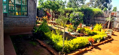 2bdrm Bungalow in Sogomo, Kimumu for Sale - Image 10