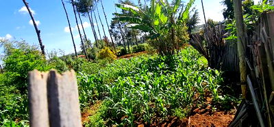 2bdrm Bungalow in Sogomo, Kimumu for Sale - Image 12