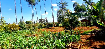 2bdrm Bungalow in Sogomo, Kimumu for Sale - Image 11