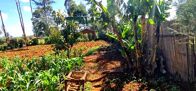 2bdrm Bungalow in Sogomo, Kimumu for Sale - Image 16