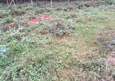 1.6-Acre Plot with Garden & Parking