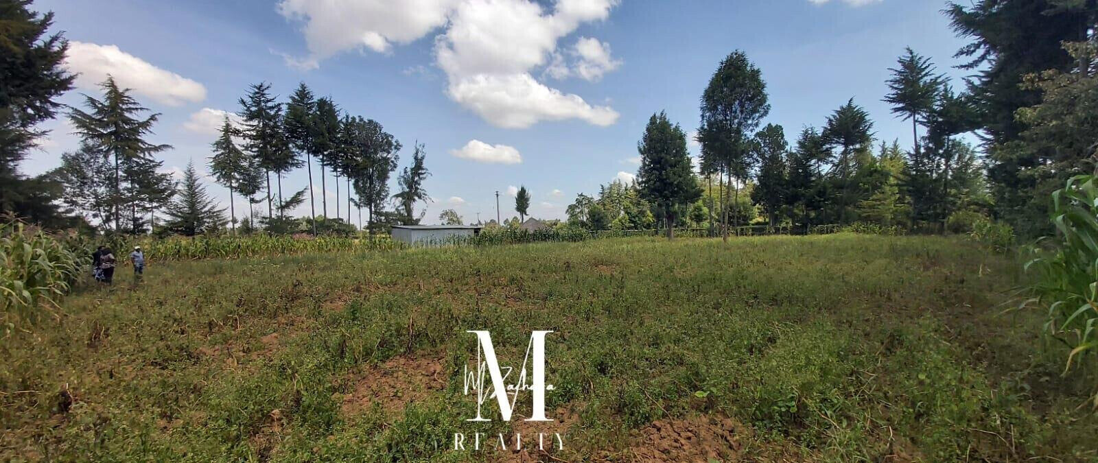 1-Acre Land at KSh 6.5M - Nanyuki
