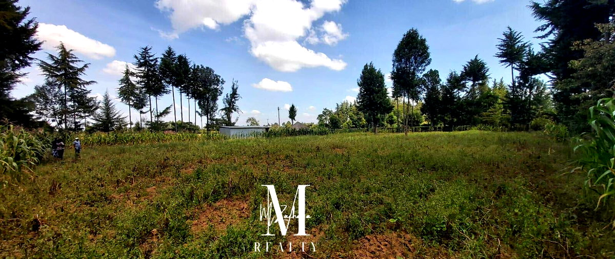 1-Acre Land at KSh 6.5M - Nanyuki