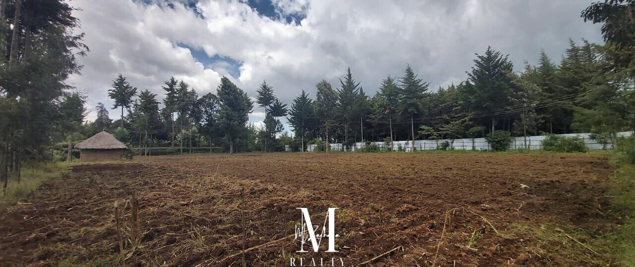 1-Acre Land at KSh 6.5M - Nanyuki