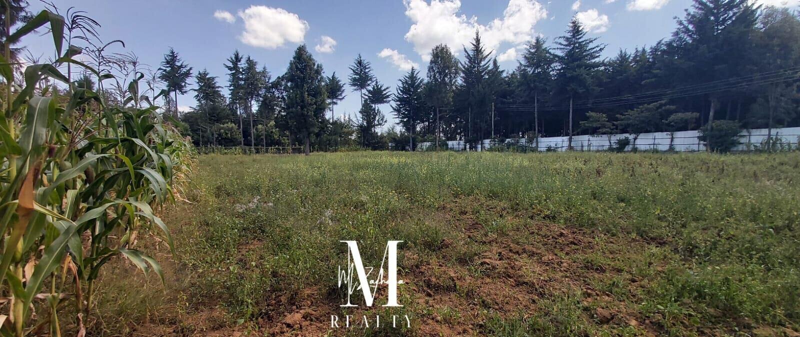1-Acre Land at KSh 6.5M - Nanyuki