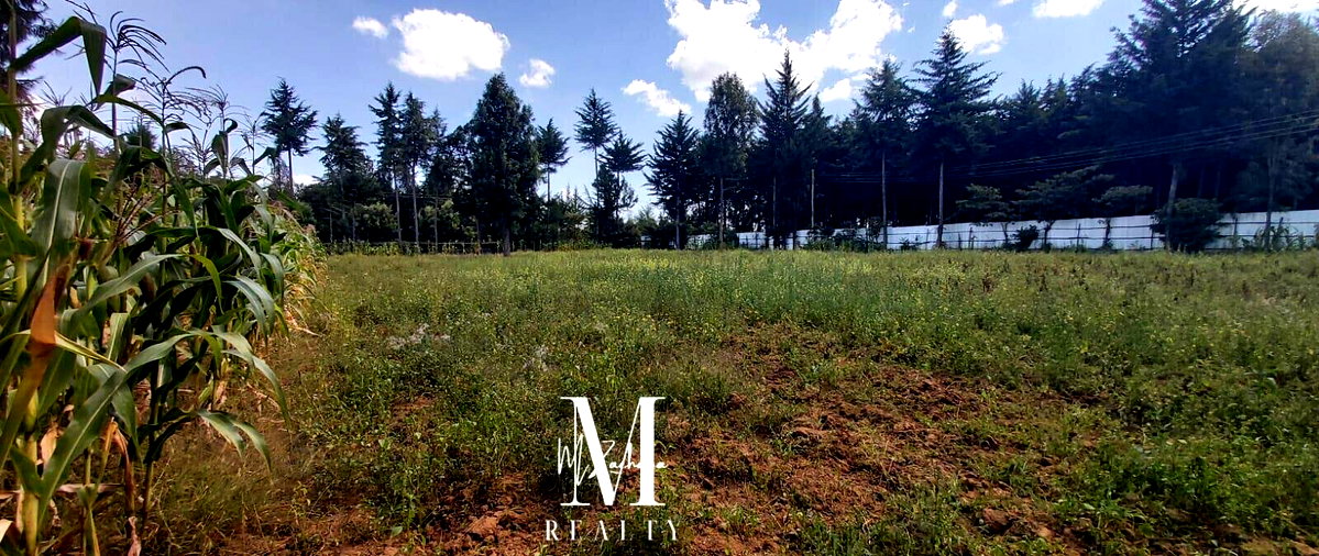 1-Acre Land at KSh 6.5M - Nanyuki