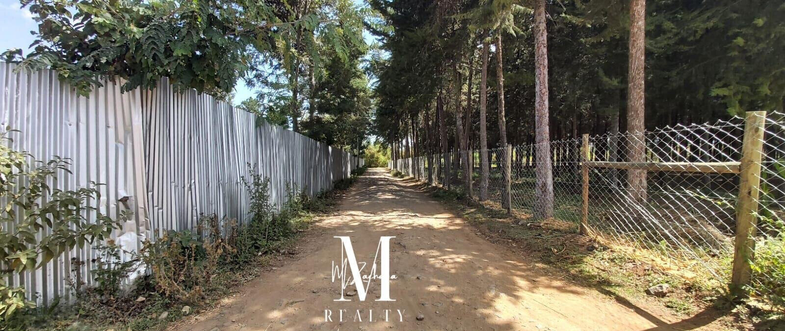 1-Acre Land at KSh 6.5M - Nanyuki