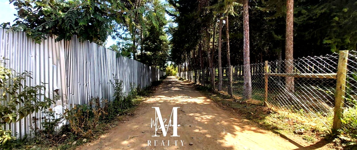 1-Acre Land at KSh 6.5M - Nanyuki
