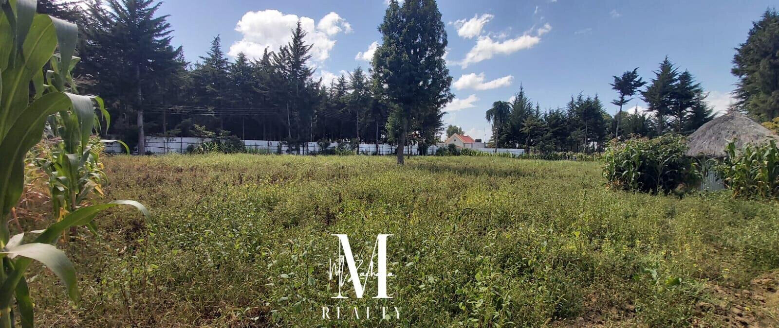 1-Acre Land at KSh 6.5M - Nanyuki