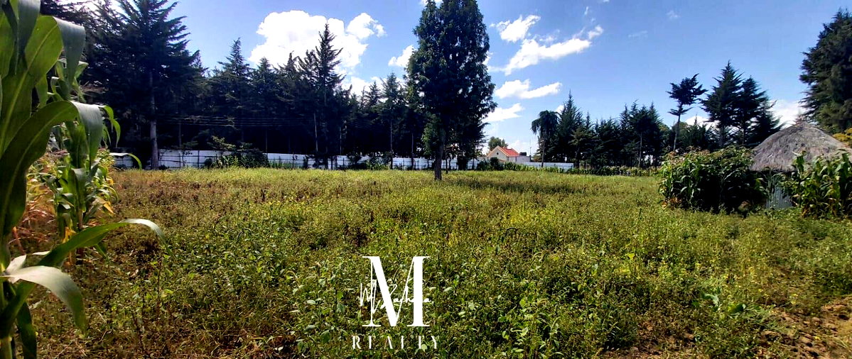 1-Acre Land at KSh 6.5M - Nanyuki
