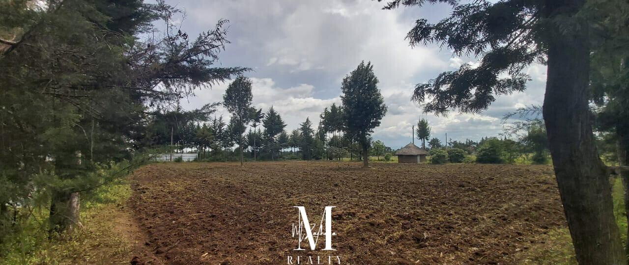 1-Acre Land at KSh 6.5M - Nanyuki