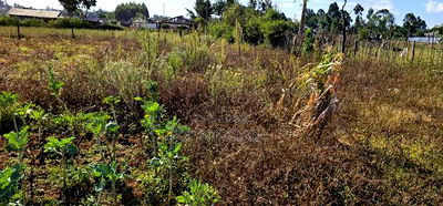 Prime Plot for Sale in Kapsoya Deligacy in Eldoret - Image 4