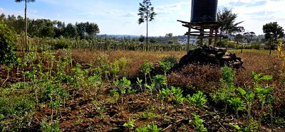 Prime Plot for Sale in Kapsoya Deligacy in Eldoret - Image 2