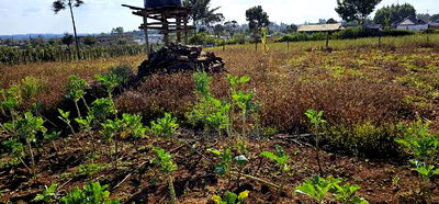 Prime Plot for Sale in Kapsoya Deligacy in Eldoret - Image 1