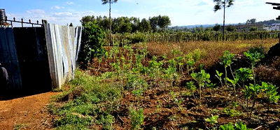 Prime Plot for Sale in Kapsoya Deligacy in Eldoret - Image 3
