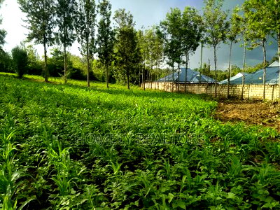 One Acre Piece of Land in Ongata Rongai Along Merisho Area - Image 1