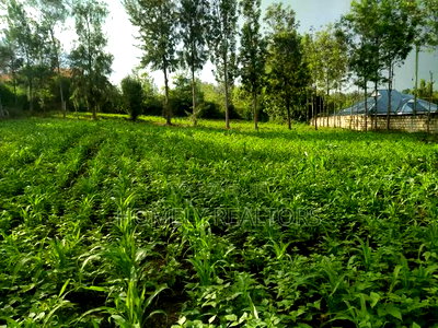 One Acre Piece of Land in Ongata Rongai Along Merisho Area - Image 2