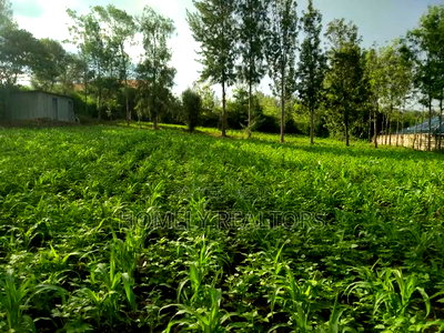 One Acre Piece of Land in Ongata Rongai Along Merisho Area - Image 3