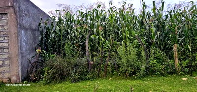 Commercial 1/4 Plot for Sale in Annex Eldoret - Image 2