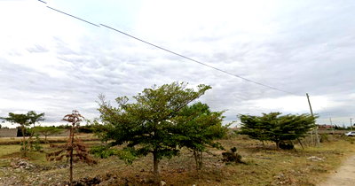 Quarter Acre Plot for KSh 8M