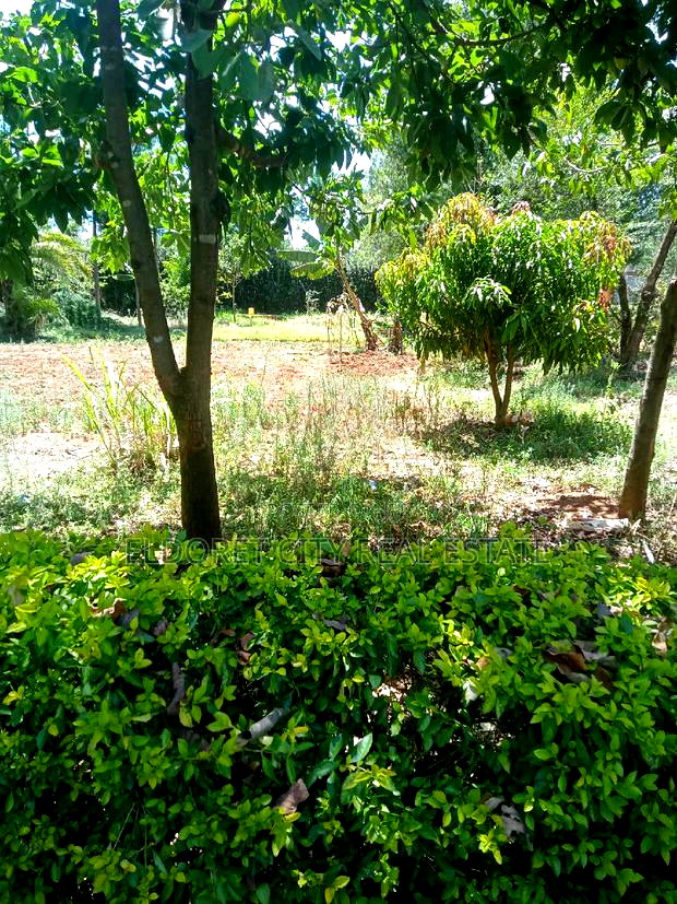 1/4 Plot Kolol Estate Longonot Area