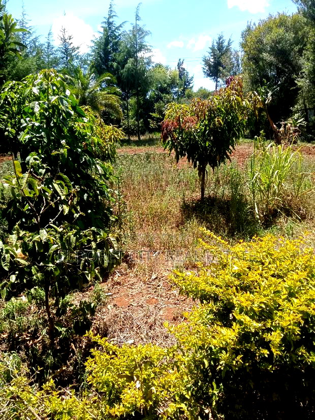 1/4 Plot Kolol Estate Longonot Area