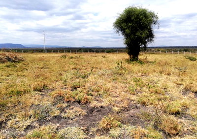 Quarter Acre Garden Plot in Ebulbul