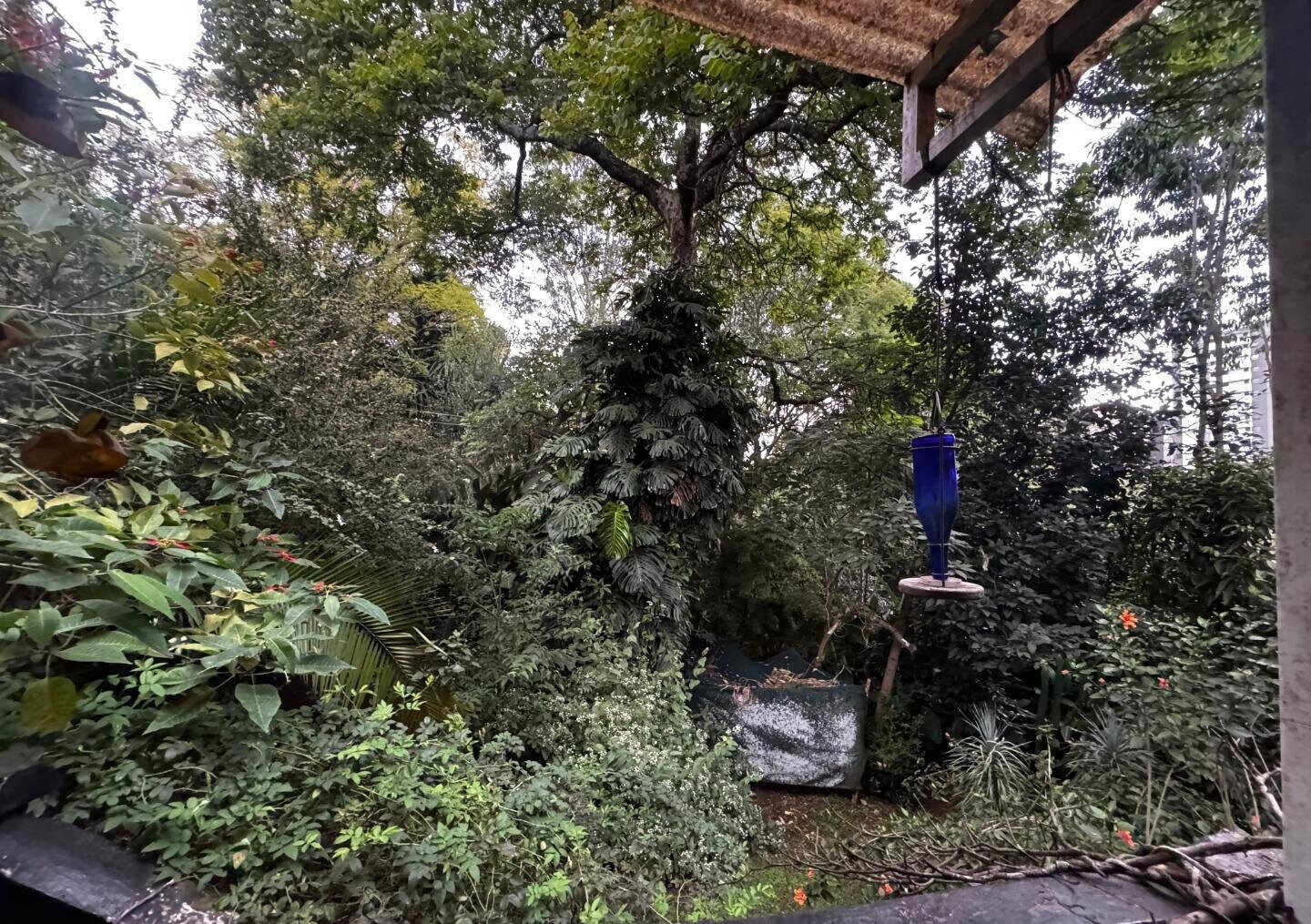 Half Acre Spring Valley Plot for KSh 100M
