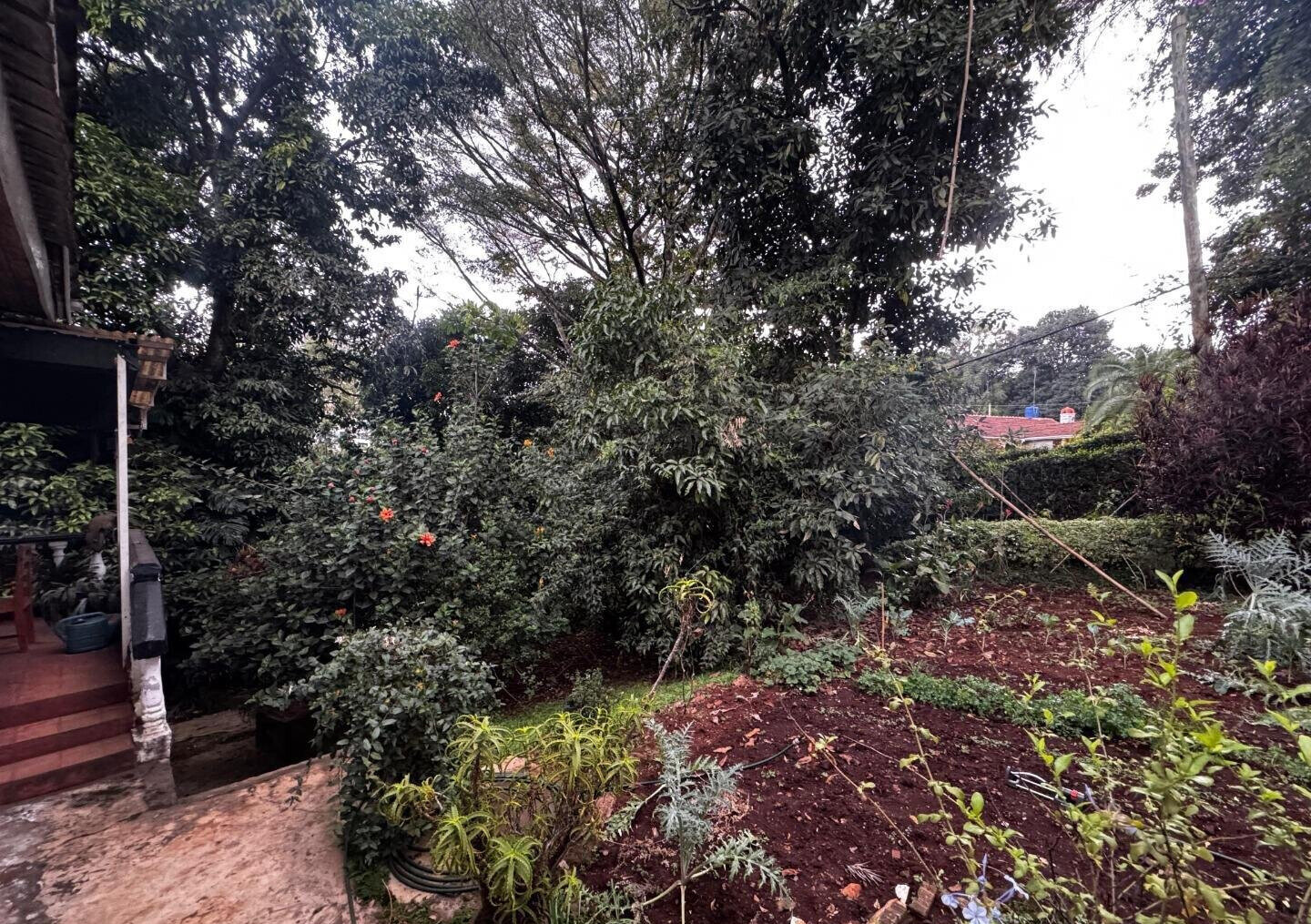 Half Acre Spring Valley Plot for KSh 100M