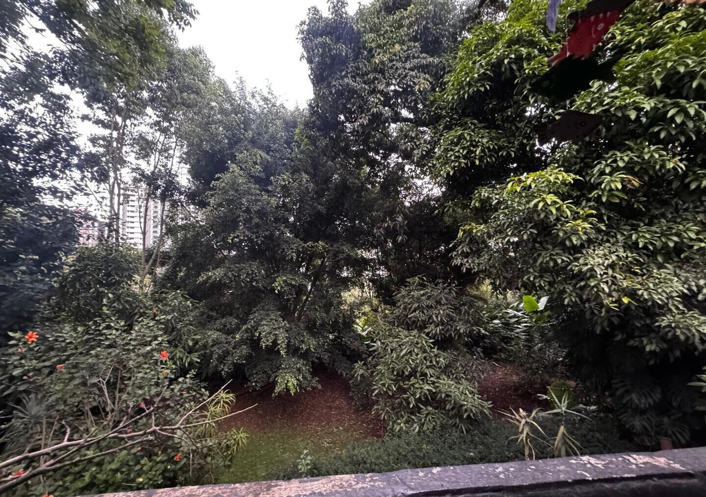 Half Acre Spring Valley Plot for KSh 100M