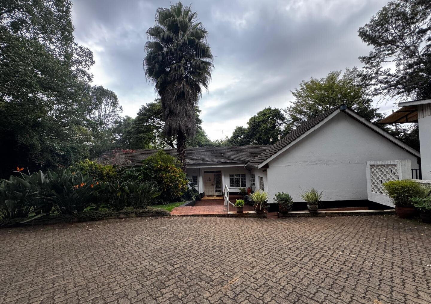 Half Acre Spring Valley Plot for KSh 100M