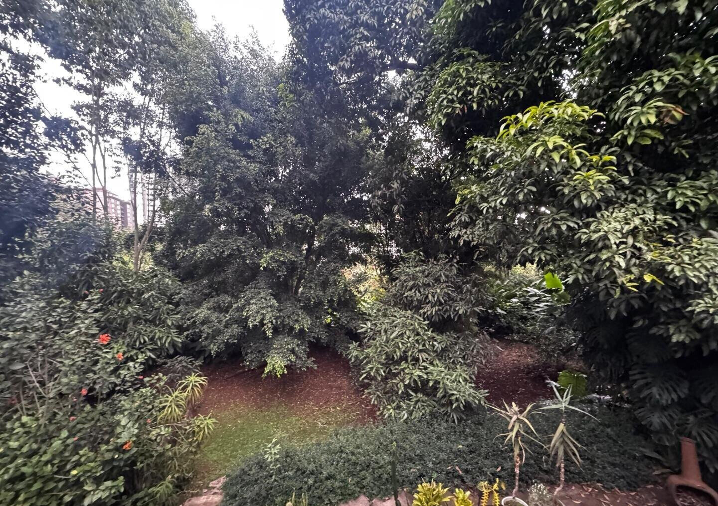 Half Acre Spring Valley Plot for KSh 100M