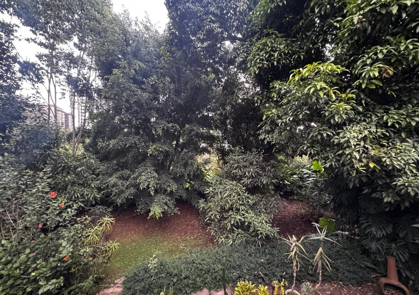 Half Acre Spring Valley Plot for KSh 100M