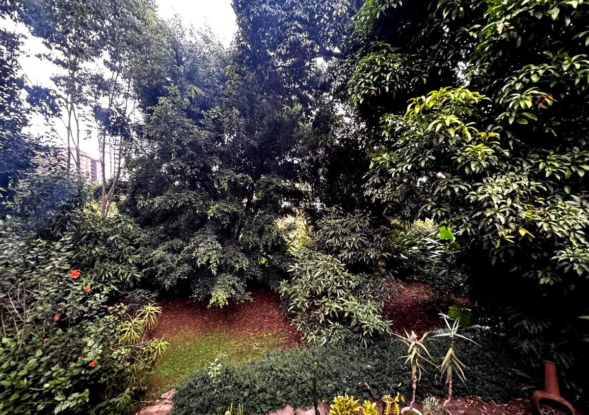 Half Acre Spring Valley Plot for KSh 100M