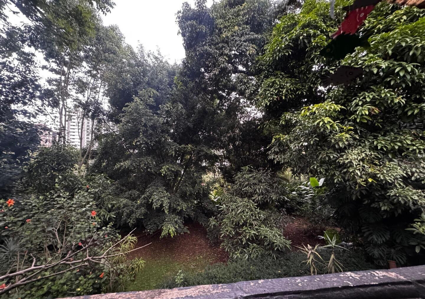 Half Acre Spring Valley Plot for KSh 100M