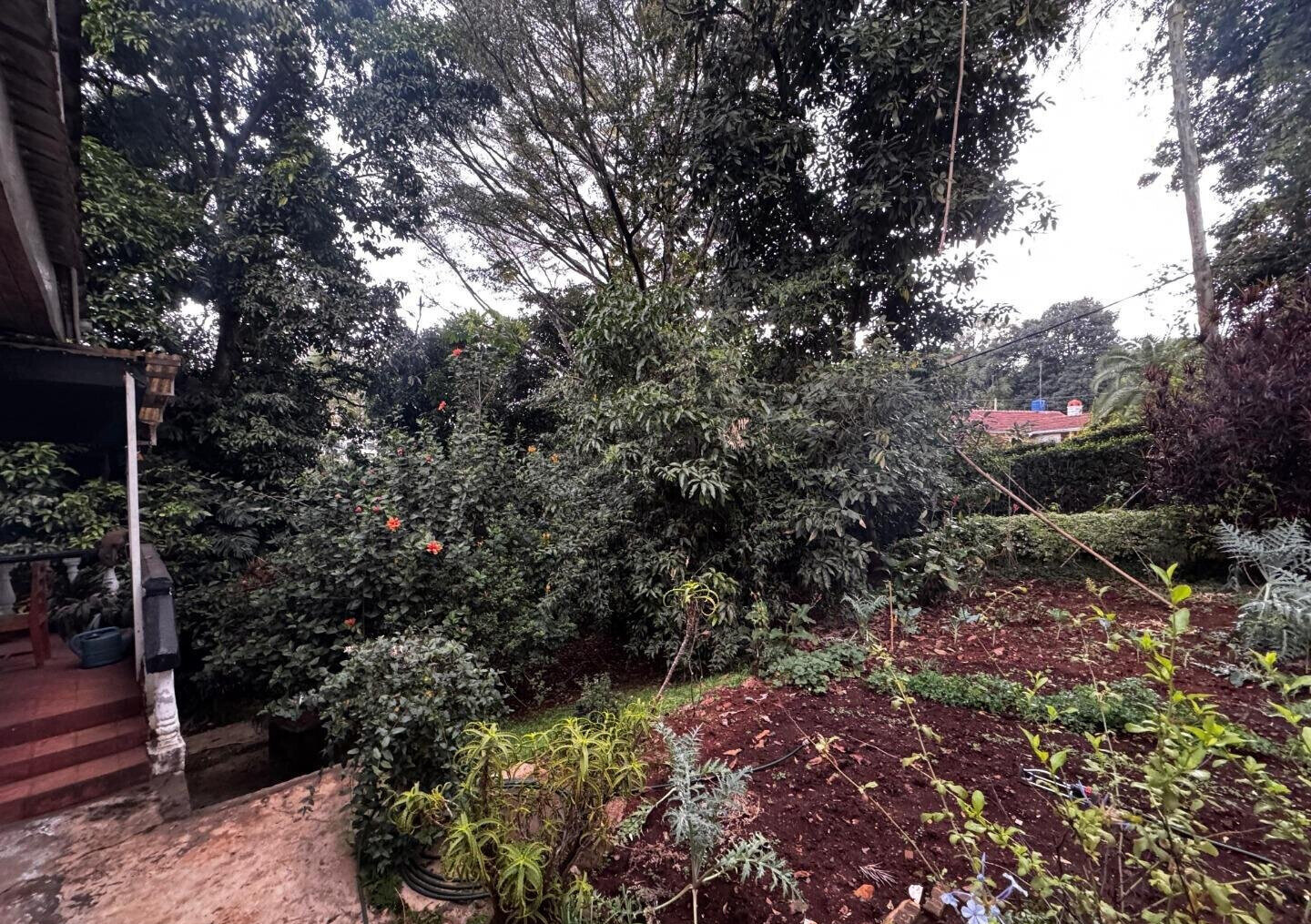 Half Acre Spring Valley Plot for KSh 100M