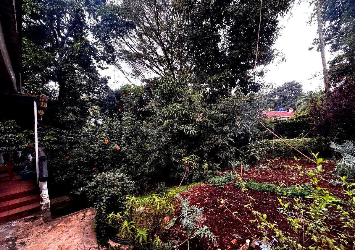 Half Acre Spring Valley Plot for KSh 100M