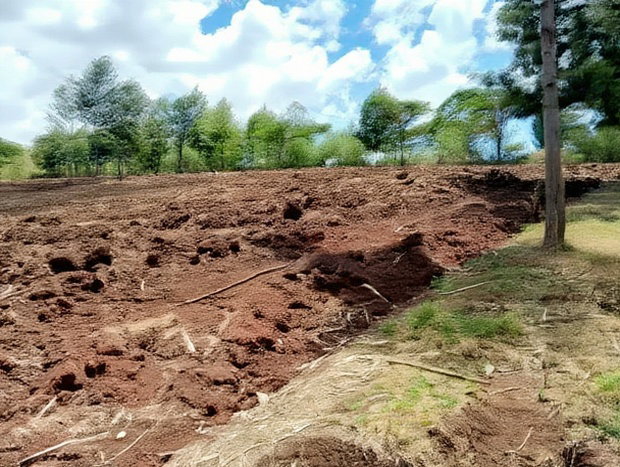 900 Acres Quick Sale in Kitale Ready Title Deed