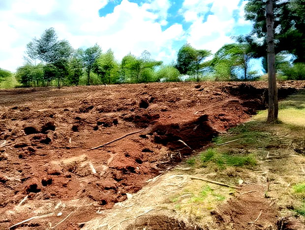 900 Acres Quick Sale in Kitale Ready Title Deed