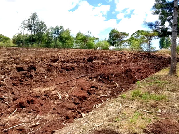 900 Acres Quick Sale in Kitale Ready Title Deed