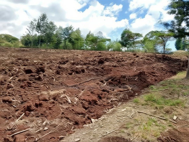 900 Acres Quick Sale in Kitale Ready Title Deed