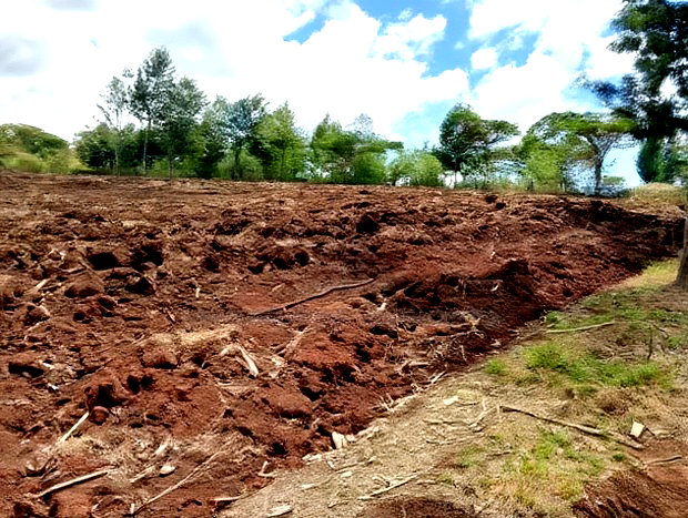 900 Acres Quick Sale in Kitale Ready Title Deed