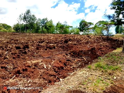 900 Acres Quick Sale in Kitale Ready Title Deed - Image 2