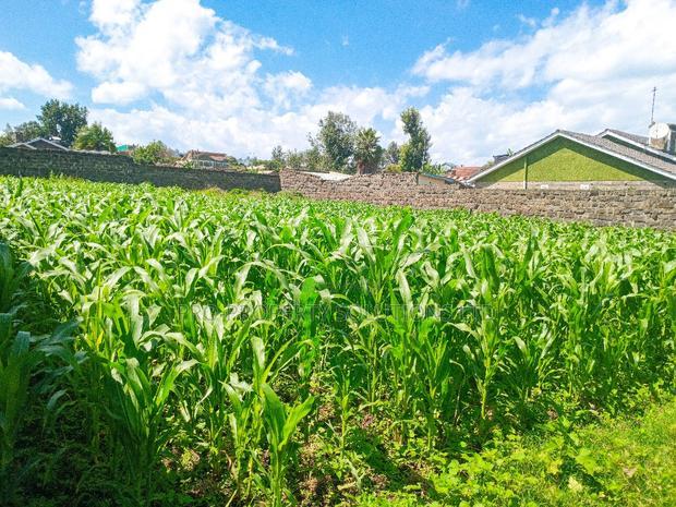 1/4 Acre Plot for Sale in Olive Inn Estate, Nakuru, Kiamunyi