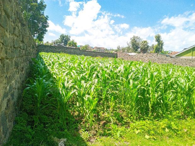 1/4 Acre Plot for Sale in Olive Inn Estate, Nakuru, Kiamunyi
